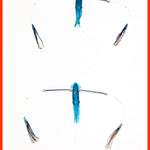 The “Teaser Max” The King Fish / Tuna / Marlin Teaser